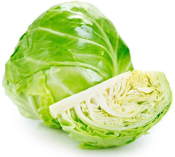 Willvine Round Shape Green Ball Style Cabbage-GBPUT-10B-image-22