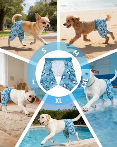 Image of CuteBone Dog Swim Trunks Swimsuit Durable & Comfortable - Quick-Dry, Adjustable Waistband Shorts, UV Protection Bikini- Perfect for Beach, Pool & Outdoor Fun, Dinos DST14L