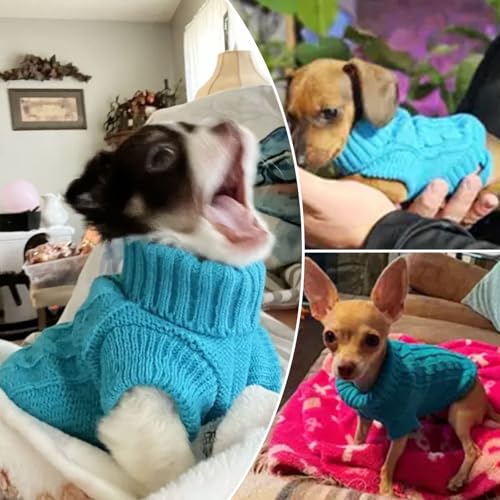 XXS Hundepullover, gestrickter Chihuahua-Pullover, Yorkie-Teetasse, Dackel, Hundepullover für kleine Hunde, Mädchen, Herren, Herbst, Winter, Welpen, Katzen, Pullover (XXS)