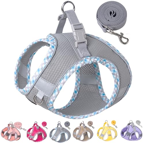 Image of Petank Dog Harness for Small Medium Dogs No Pull, Puppy Harness and Leash Set for Walking, Running, Training, Small Dog Harness, Medium Dog Harness (Grey, L)