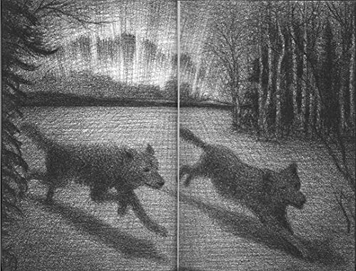 Image of Wonderstruck (Schneider Family Book Award - Middle School Winner)