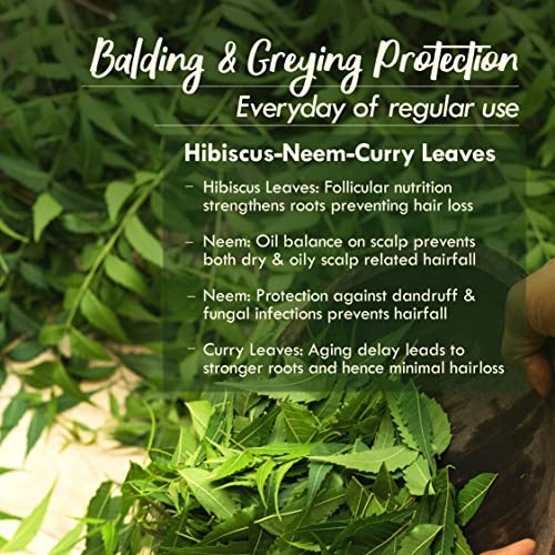 Nat Habit - Back To Natural Secrets Everyday Men's Revital Summer Dasabuti Hair Oil for Hairfall, Dandruff Control with 16 Herbs Soaked, Castor,... - Image 3