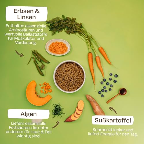 VEGDOG Green Crunch Trockenfutter, für Allergiker, Erbsenprotein, 4kg