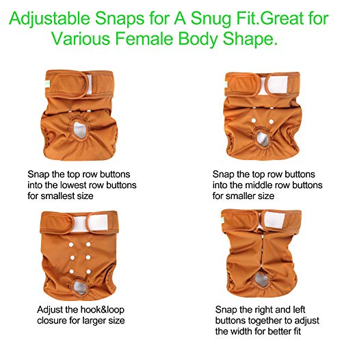 image for Wegreeco Washable Reusable Premium Dog Diapers, Extra Large, Natural C