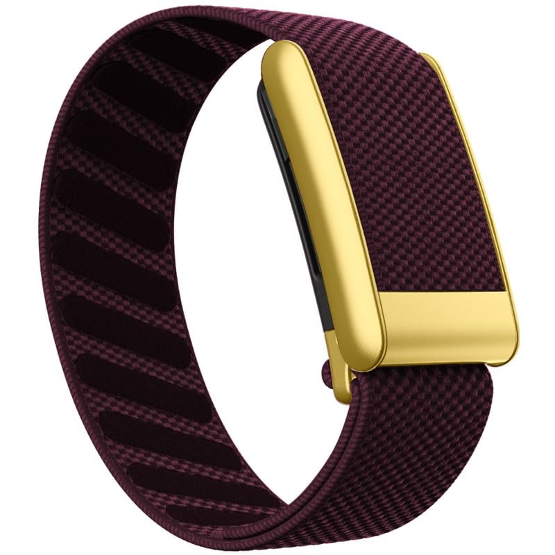 Plum-Gold Frame/5.0 Plum-Gold Frame/5.0