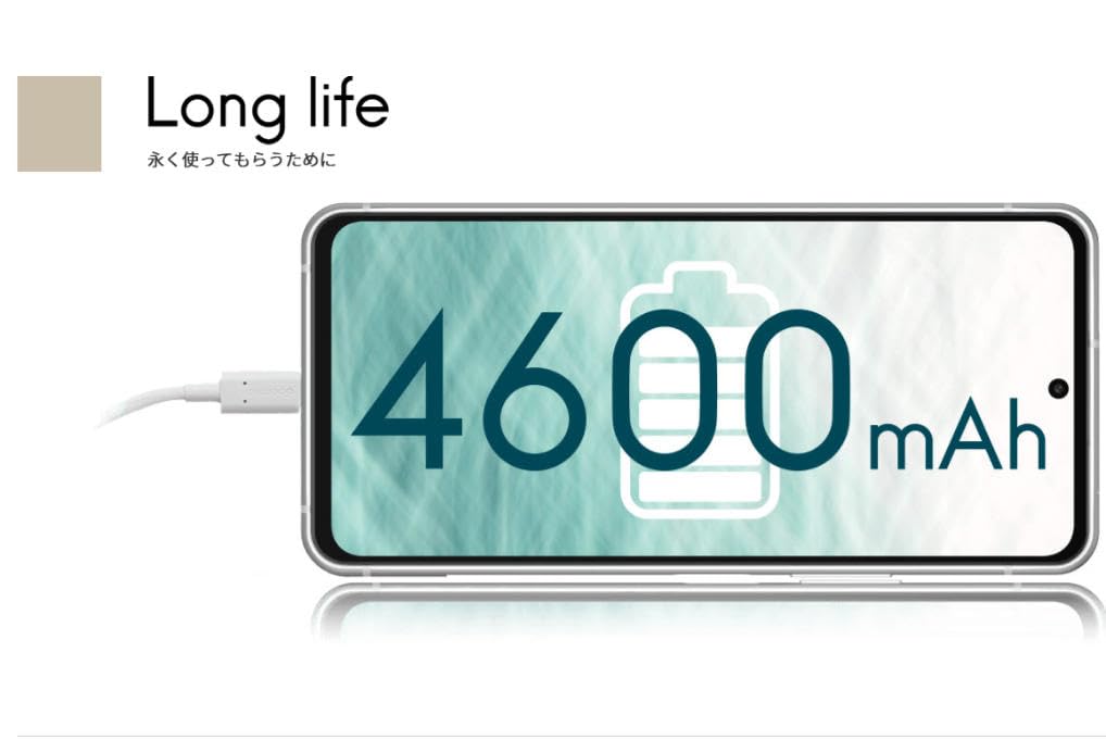 Amazon | 【docomo版】白ロム arrows N F-51C [フォレスト