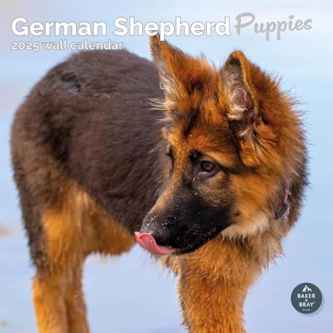 Baker and Bray 2025 German Shepherd Puppies Calendar Cover