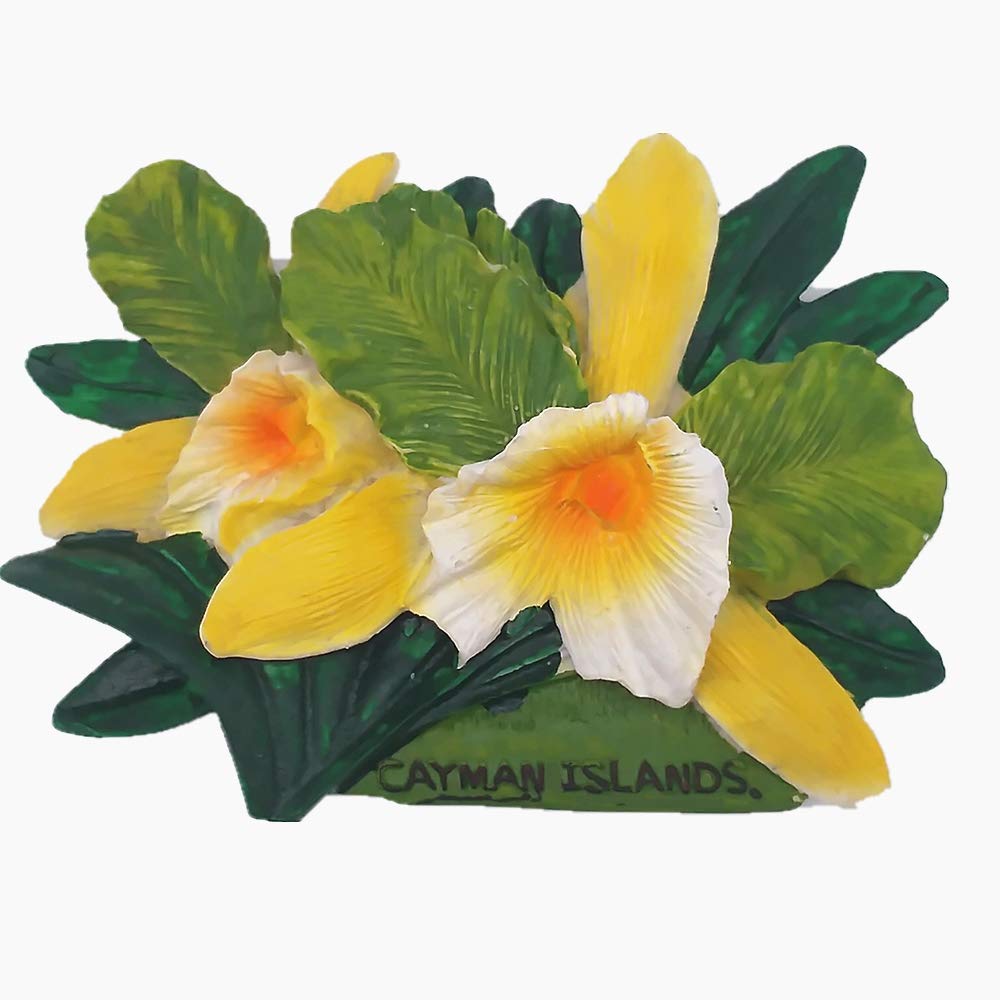 Grand Cayman Islands 3D Fridge Magnet - UK Travel Souvenir & Kitchen Decor