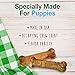Nylabone Healthy Edibles Natural Puppy Chews Long Lasting Treats for Puppies, Roast Beef, Apple & Bacon Flavor, X-Small/Petite (3 Count)