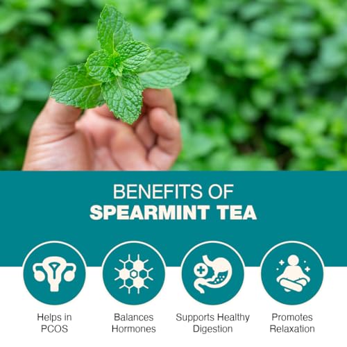 Image of Spearmint Herbal Tea 100g | PCOS & PCOD Tea for Women | Hormone Balance Support, Acne & Facial Hair Reduction | Digestive Health | Herbal Loose Leaf Spearmint Tea | Caffeine Free | 100 Cups