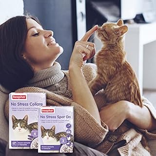 Beaphar No Stress Spot On Gatto, Calmante Gatto, 3 Pipette, Azione Calmante e Rilassante, Agisce in 1 Ora, per Un Ambiente Calmo e Senza Stress
