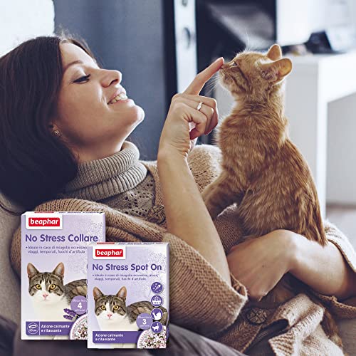 Beaphar No Stress Spot On Gatto, Calmante Gatto, 3 Pipette, Azione Calmante e Rilassante, Agisce in 1 Ora, per Un Ambiente Calmo e Senza Stress - 4