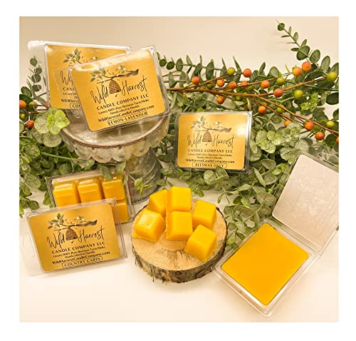 Beeswax Only Natural and Unscented, 1-Pack Pure Beeswax Melts for Warmers, Wild Harvest Candle Company, 3 oz Raw Beeswax Tarts Cubes, Handcrafted, Made in FL USA