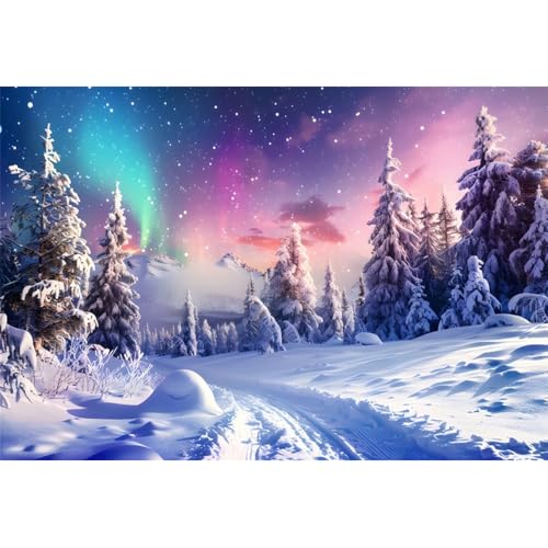 Toile de fond paysage d'hiver aurore boréale et ciel étoilé pour fond photographie Noël