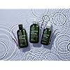 Tea Tree Lavender Mint Moisturizing Shampoo, Hydrates + Soothes, For Coarse + Dry Hair, 33.8 fl. oz.