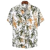 tirantes hombre camisetas raw hombre camisetas hombre 6xl camisetas hombre matematicas camisetas manga larga hombre camisetas de hombre 4d camisetas de hombre 3d camisetas manga cortas hombre camisetas de hombre 5xl camisetas blancas interior hombre camisetas de hombre y mujer camiseta hombre 73 camisetas ezekiel hombre camiseta manga hombre camisetas de hombre 1967 camisetas hombre map camisetas manga larga running hombre camisetas manga larga hombre