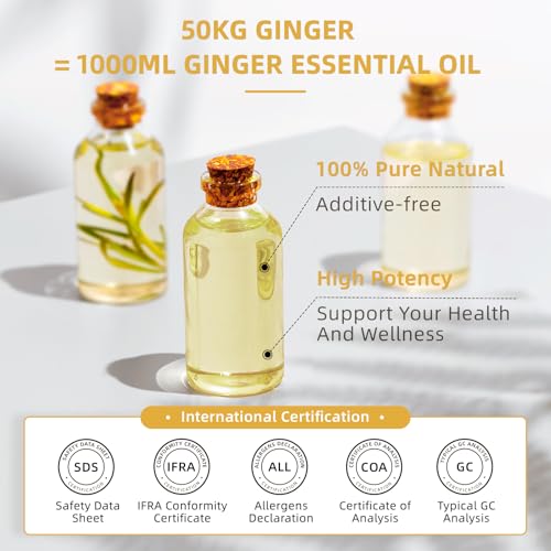 Image of HIQILI 32 Fl Oz Ginger Oil, 100% Pure Natural Ginger Essential Oil for Hair, Massage, Skin - 1000ML