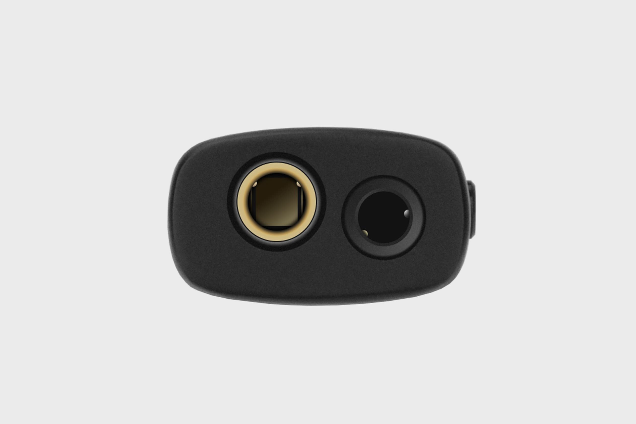Amazon.co.jp: LOTOO PAW S2 スティック型USB-DAC MQA フル