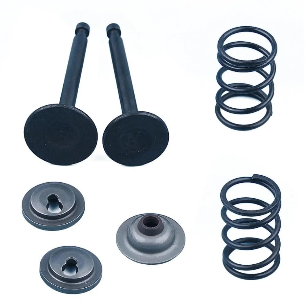 Ressorts d'embrayage GX35 haute résistance à support métallique robuste