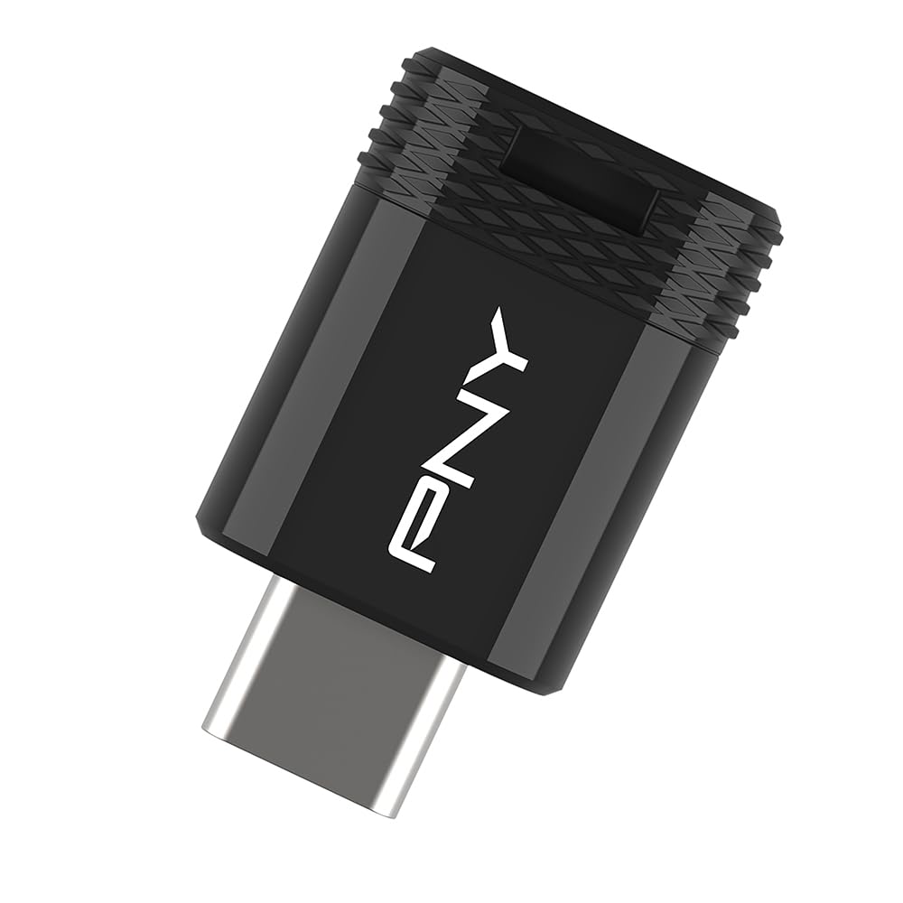 PNY Unità Flash 256GB Elite-X Fit Type-C USB 3.2 – Prestazioni avanzate Fino a 200MB/s in lettura, e 100MB/s in scrittura, comoda archiviazione dati portatile, design ultra compatto, connettore Type-C