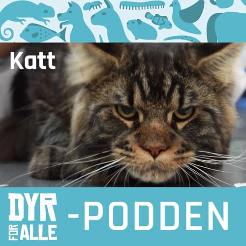 Kattens spr&aring;k