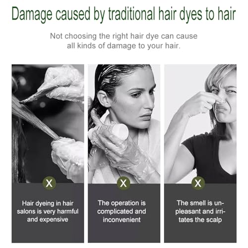 Image of Adbeni Fruit Vinegar hair Colour Black | Ammonia Free Herbal Hair Dye Gel for Men & Women | No Harsh PPD, Gentle on Scalp, Long Lasting Natural Color | 500ml | With Colouring Kit