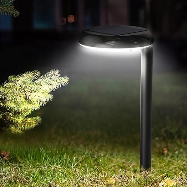 Solar Pathway Lights - Super Bright 300 Lumens with 2-in-1 Warm White & Daylight Color, Solar Path Lights for Pathway, Sidewalk, Driveway, Garden,Parterre etc,Landscape Lighting (2-Pack)