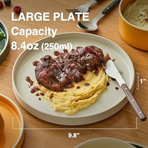 Odense 9.8" Large Dinner Plates(Set of 4) - Ceramic Plates for Dining Serving - For Salad, Pasta, Steak - Modern & Minimal, Wide Round Design, Stackable - Microwave & Dishwasher Safe (Multi Color) Odense 98 Large Dinner PlatesSet of 4 Ceramic Plates for Dining Serving For Salad Pasta Steak Modern Minimal Wide Round Design Stackable Microwave Dishwasher Safe Multi Color