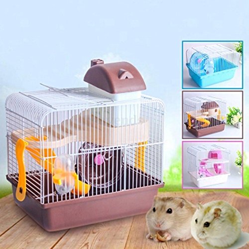 Generic-QY UK 4-16FEB 20-3427 X, 1 ****5418 HOUSE