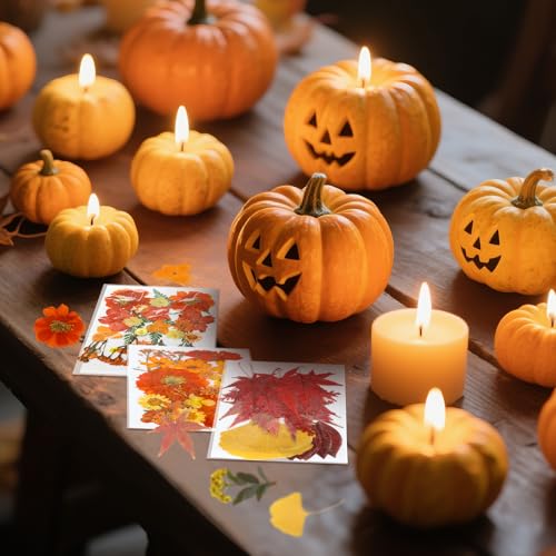 Janinka 108 Pcs Fall Pumpkin Silicone Candle Molds Thanksgiving Halloween 3D DIY Craft Resin Molds Making Kit Epoxy Maple Ghost Craft for Fall Harvest Making Candle Fondant Soap Candy Clay Tools - Image 5