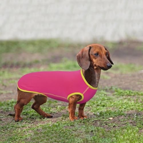 Lelepet Hundeshirt für Dackel, Hund Sommer T-Shirt Weiches Hundehemd, Atmungsaktives Dackel Hunde Shirt, Dehnbare Dackelkleidung, Leichter Hundepullover Shirt, Rosa XL