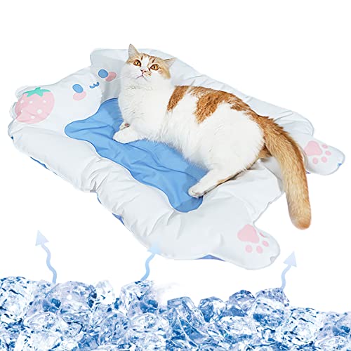 Kyoei-Tech p}bg N[}bg ybgp Ђ}bg 5p t  L  ڐG⊴ JԂgp\ ⊴WF dCsv h h ȃGl ŃWF MǑ΍ C΍ ȒP ~ ϖՐ ܂݉