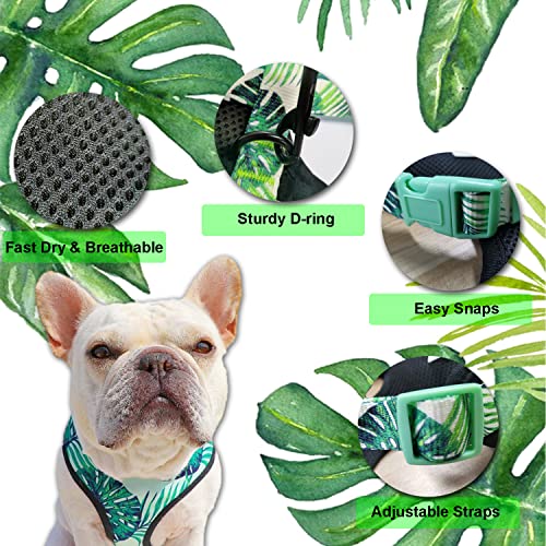 Image of HDKUW Dog Harness and Leash Set, Adjustable Dog Vest Harness Set, Outdoor Walking Vest Harness for French Bulldog and Puppy Small Medium Large Dog XL