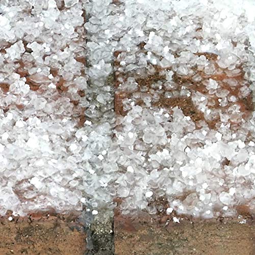 Snow Joe MELT40PET-BOX Pet Friendly Premium Ice Melt, 40-LBS, Safe for Paws, White
