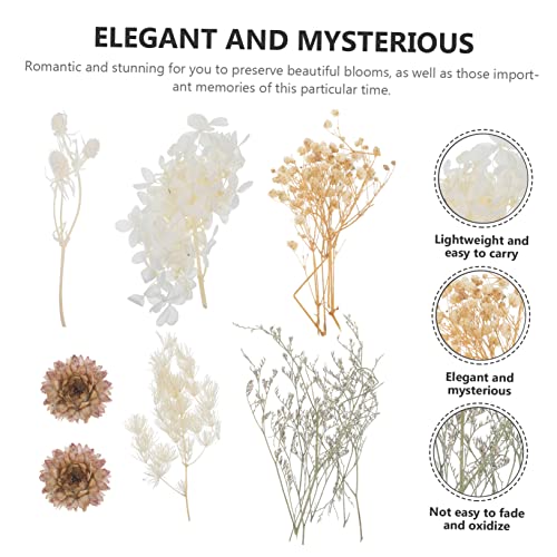 EXCEART 4 Conjuntos De Flores Secas Imortalidade Flores Secas Brancas Feitas À Mão Flores Naturais P