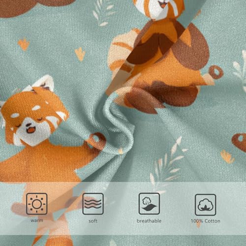 Wusikd Red Pandas Doing Yoga Boys' Underwear Cotton Boys Briefs Soft Toddler Underwear 2T3