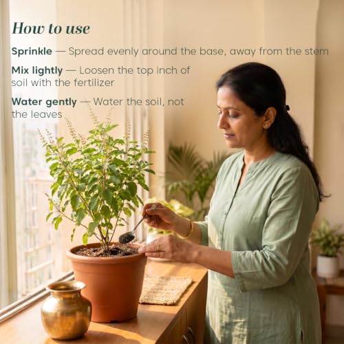Image of Kyari Tulsi Fertilizer 100% Organic - Natural Growth Booster for Tulsi Plant, Holy Basil, Home Garden, Balcony Pots - Plant Food for Lush Green Leaves - 100% Natural for Plant Parents
