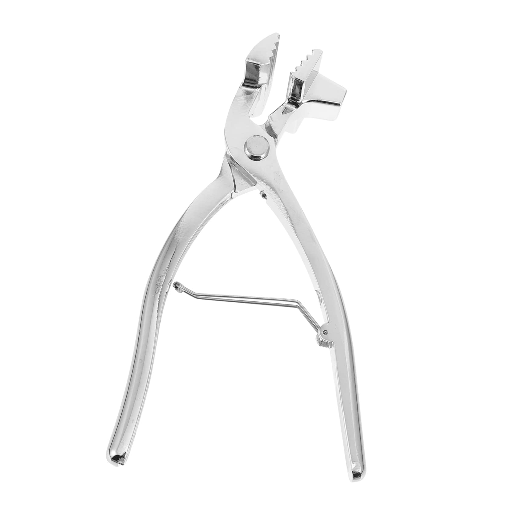 HOODANCOS 1pc Oil Painting Clip Canvas Carrying Case Professional Stretcher Pliers for Stretching Canvas