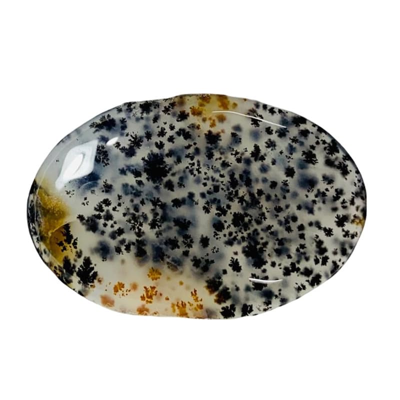 Agate dendritique naturelle pierre précieuse en vrac cabochon pour bricolage collier