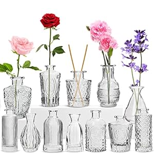 12 Pack Flower Vase, RUCKAE Bud Small Boho Glass Vases for Centerpiece Table Decorations, Home Decor,Wedding ,Party,Office