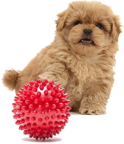 Image of Foodie Puppies Dog Rubber Chew Toy Combo (Spike Ball Toy + Hole Ball Toy) - Color May Vary