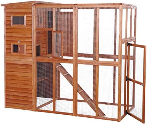 delectable squeeze ups