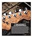 Gallagher's Guitars: The Rory Gallagher Collection