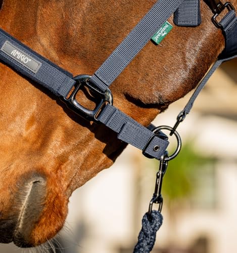 Licol et longe Horseware Amigo ensemble licol longe nylon cheval