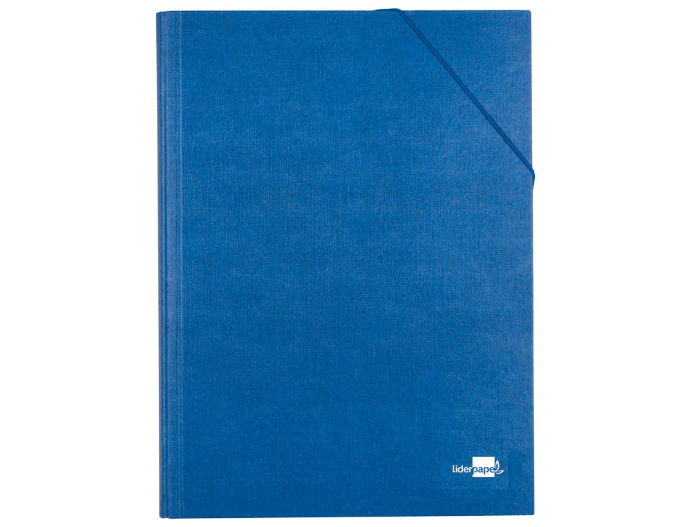 liderpapel CS01 – Expanding File Folder 12 Compartments