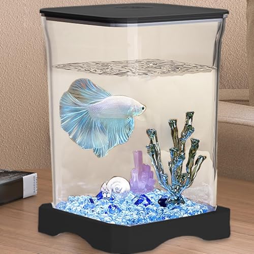 Petit kit de démarrage pour aquarium Betta transparent éclairage LED table - 4