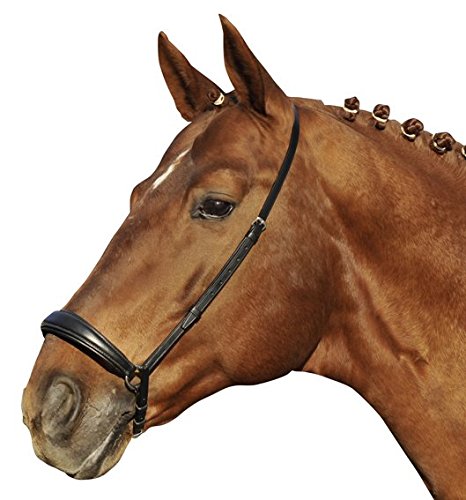Produktfoto von HKM Hannover Reithalfter Schwarz Warmblut
