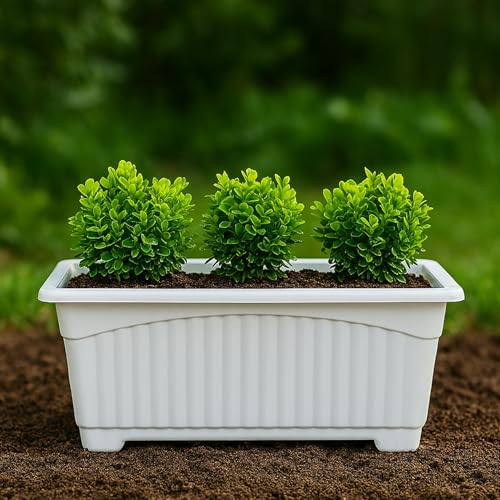 Image of Go Hooked Rectangular Plastic Pots for Plants, Jupiter Flower Pots for Home, Window Display, Garden (Set of 3, White) (35 x 18.5 x 15 cm)