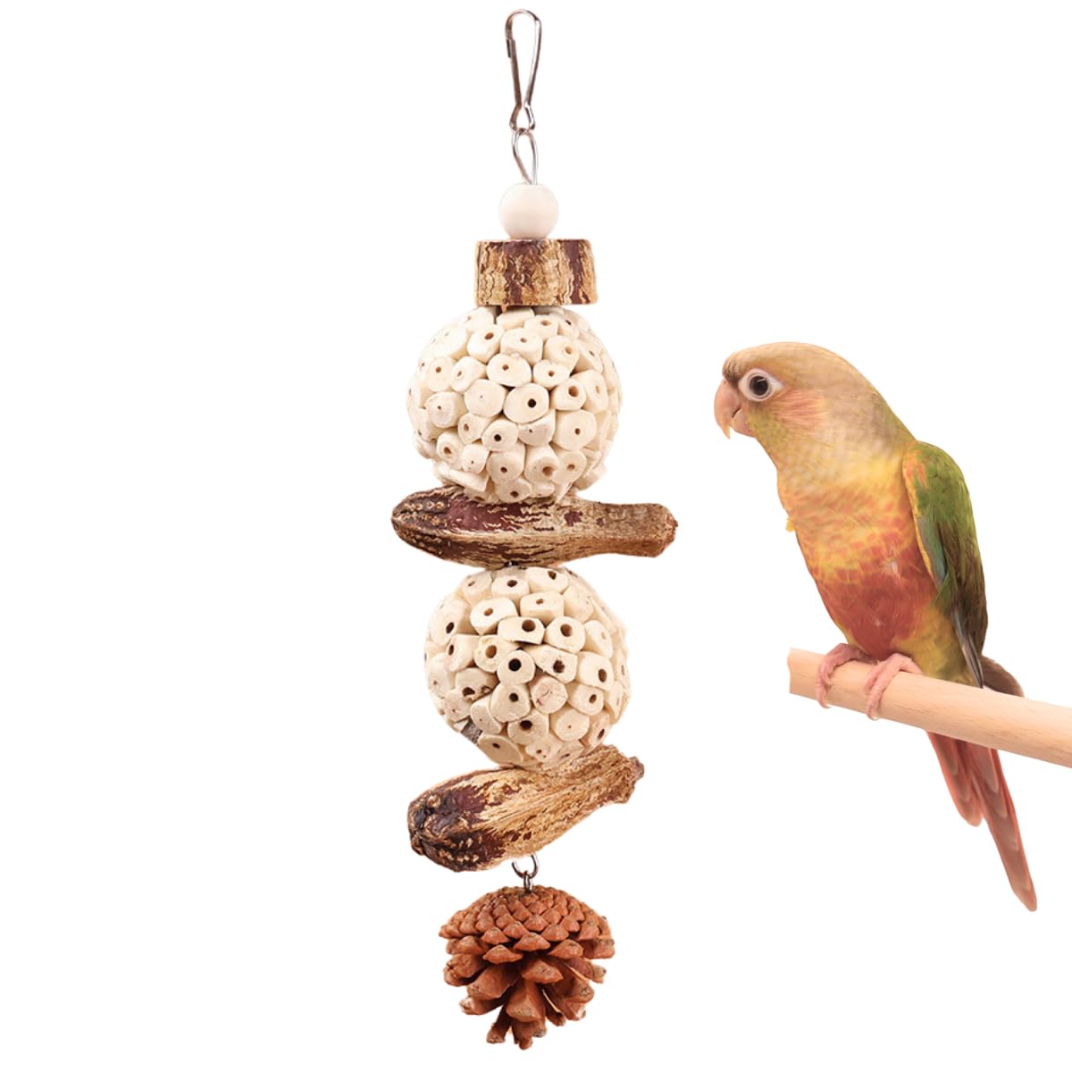 CXYYXF Bird Chew Toy for Pet Bird Parrot Sola Ball Natural Nuts Pinecone Chewing Toy for Small Parakeet Cockatiel Conures Finch Budgie (L)