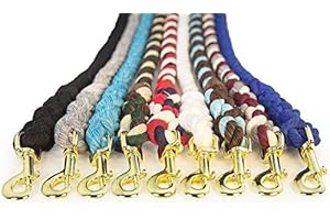 Ravenox Fms 1/2 Inch X 6 Ft Turquoise Lead Rope for Medium...